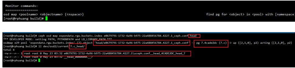 image-20240220205831253