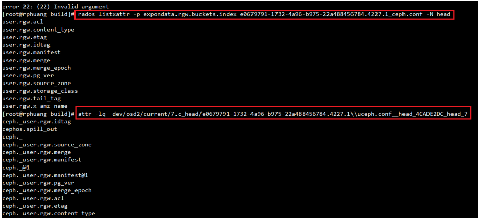 image-20240220205904228