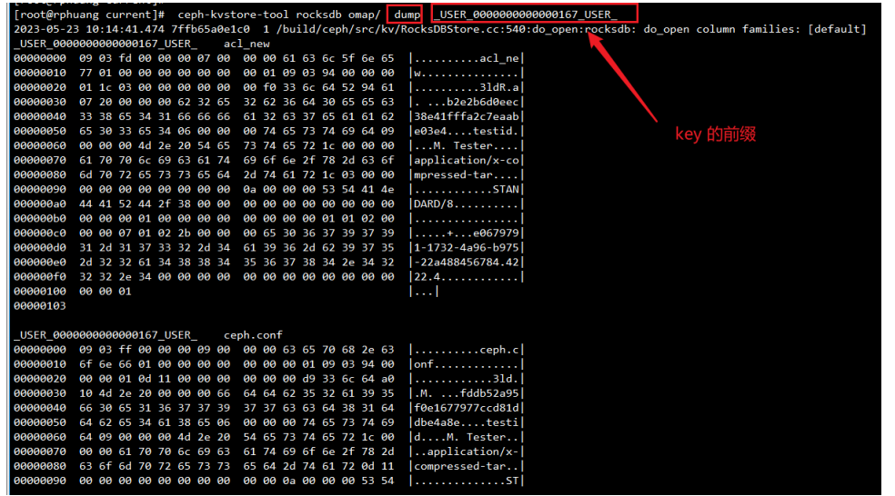 image-20240220210013795